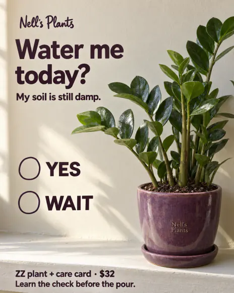 Example: Quiz ad for Nell's Plants, a fictional brand